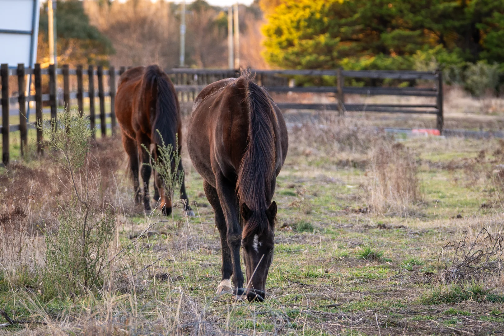 Additional image 5 of Canobolas Road Estat Canobolas Road, Orange NSW 2800