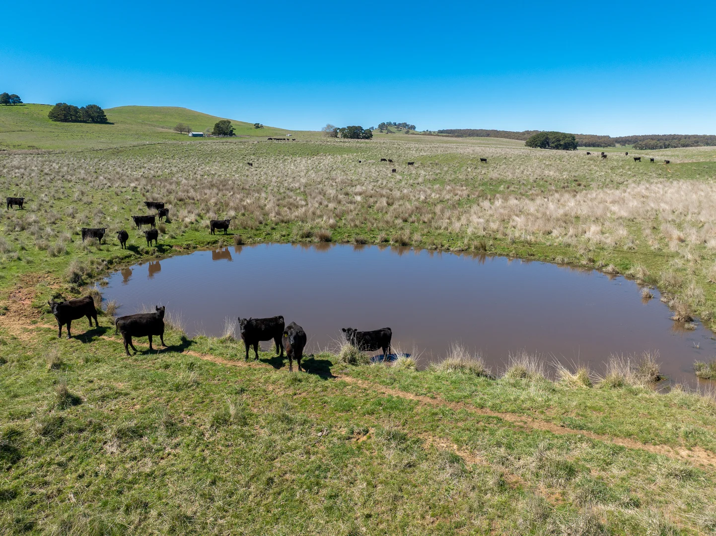 Additional image 3 of 242 Bundaleer Road, Newbridge NSW 2795