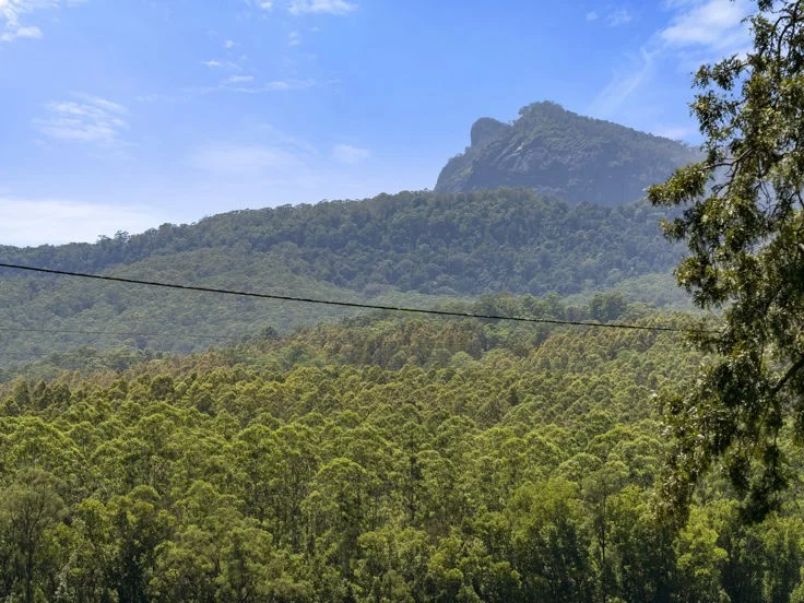 Additional image 16 of 495 Brays Creek Road, Pumpenbil NSW 2484