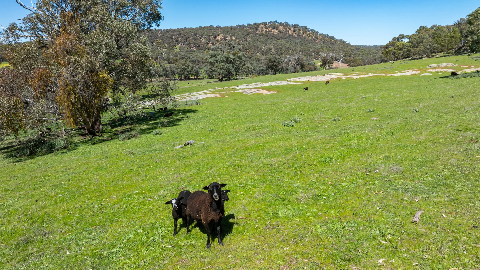 Additional image 8 of . Sanderson Road, Springhurst VIC 3682