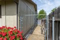 Additional image 28 of 534 Glenwood Ln, Willows, CA, 95988