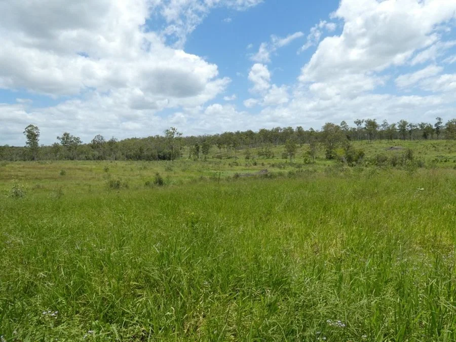 Additional image 3 of Lot 43 Moolyung Road, Waterloo QLD 4673