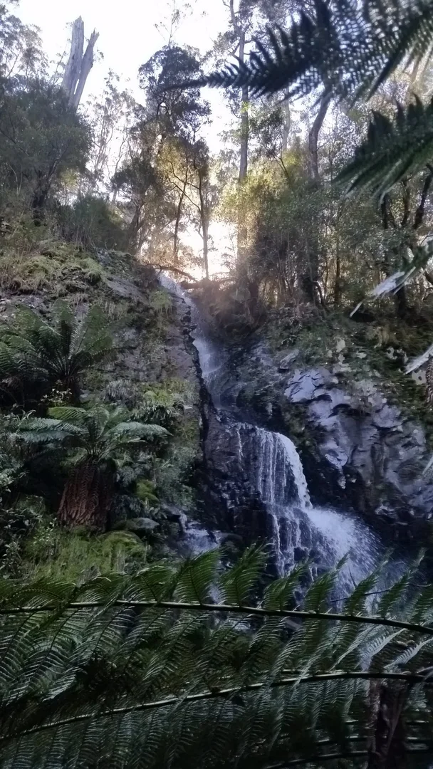 Additional image 19 of 1350 Wild Dog Road, Tanybryn VIC 3249