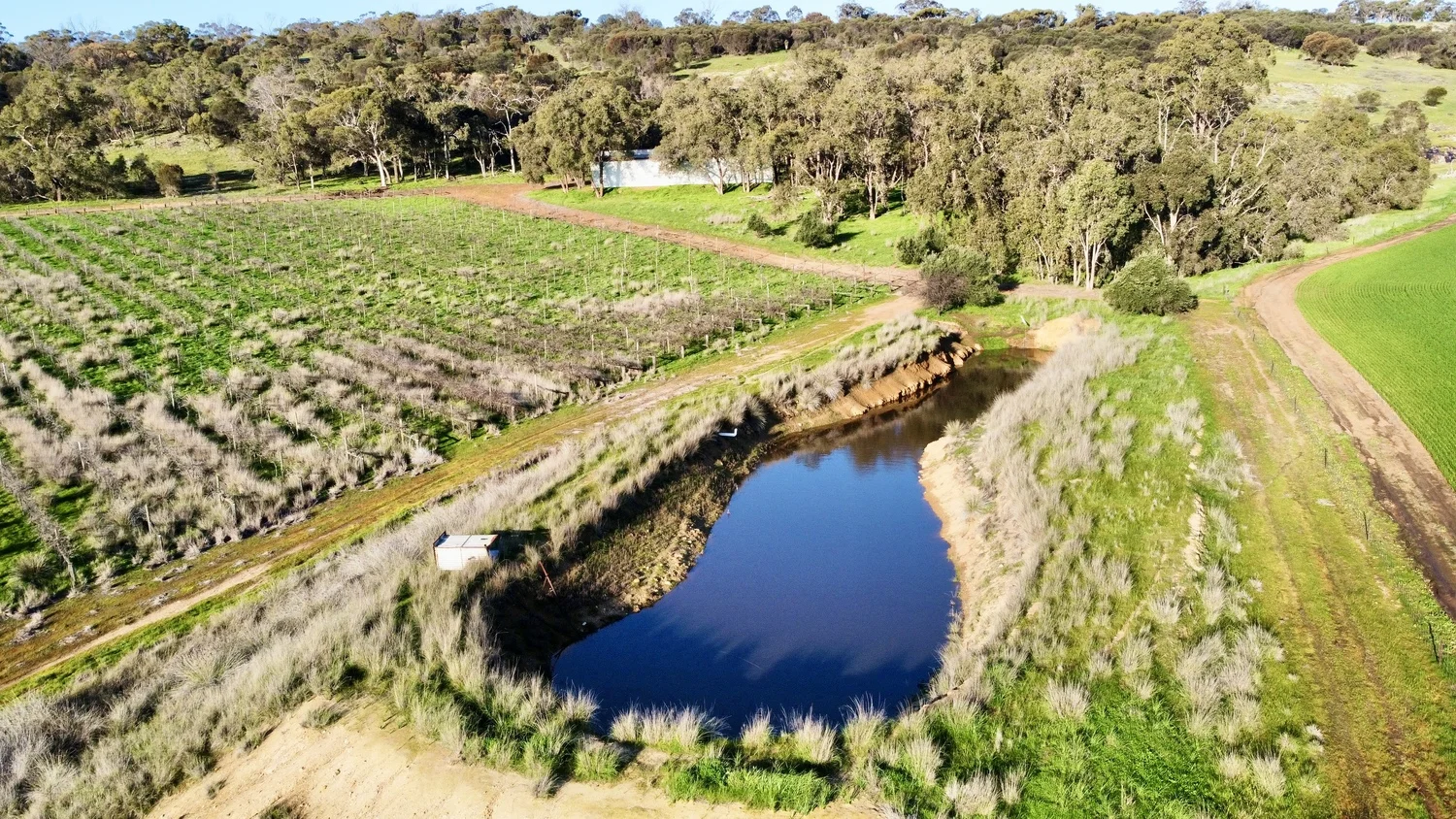 Additional image 29 of 787 Mokine Road, York WA 6302