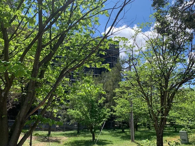 Additional image 22 of 14 Ibbott Lane, Belconnen ACT 2617