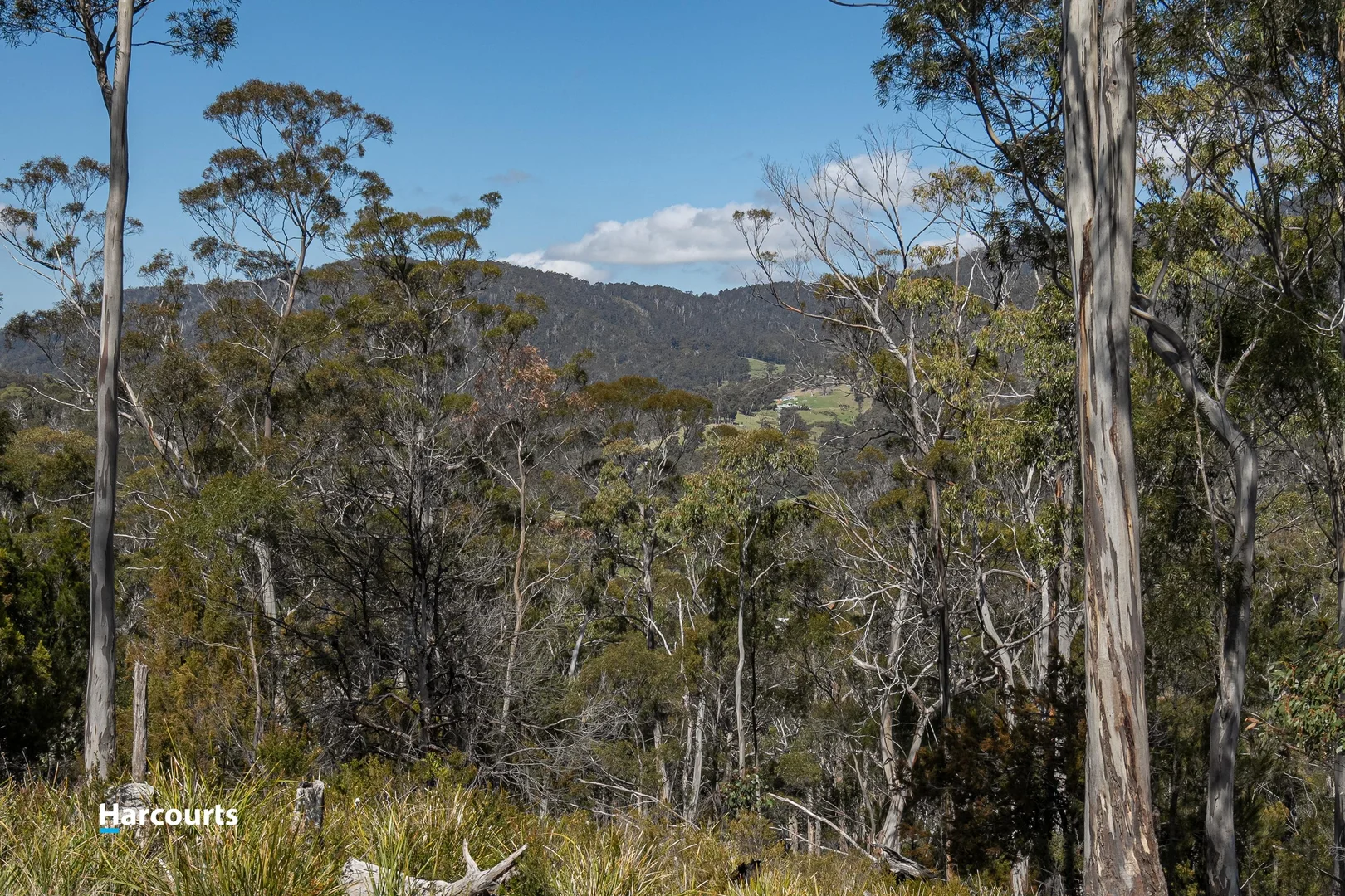 Additional image 15 of 54 Bull Oak Way, Grove TAS 7109