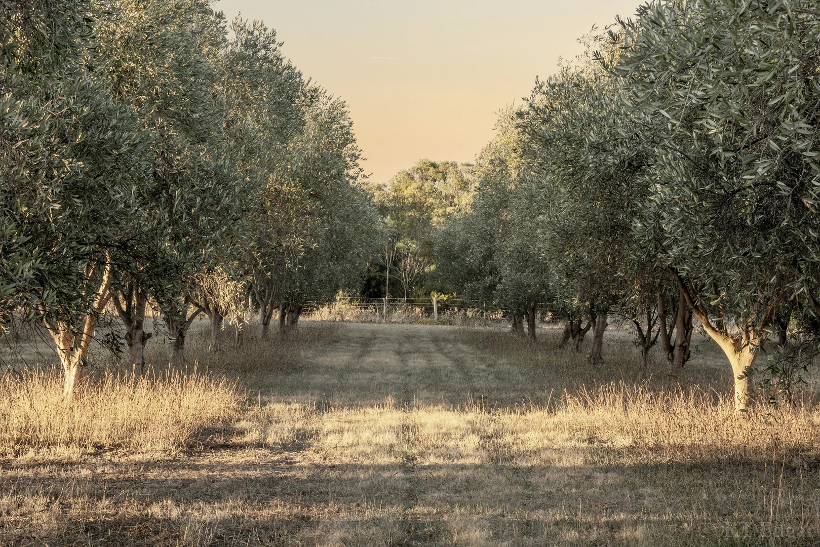 Additional image 19 of 251-259 Clifton Avenue, Leopold VIC 3224