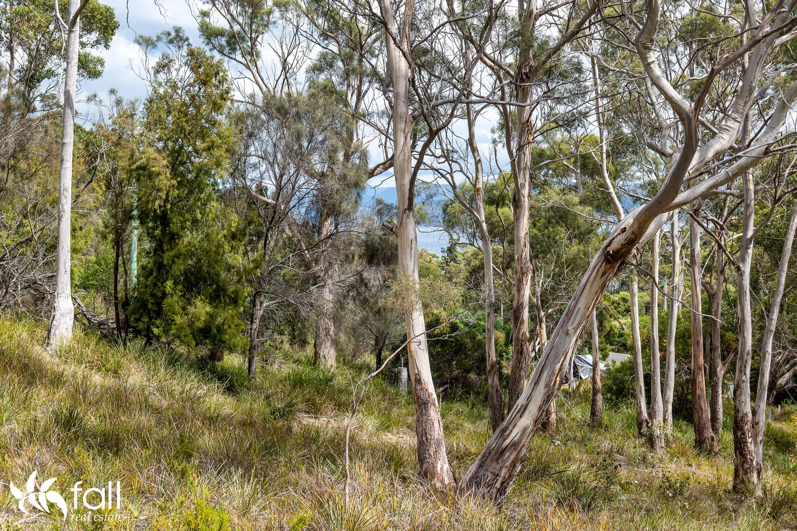 Additional image 10 of Lot 5 Blyth Parade, Great Bay TAS 7150