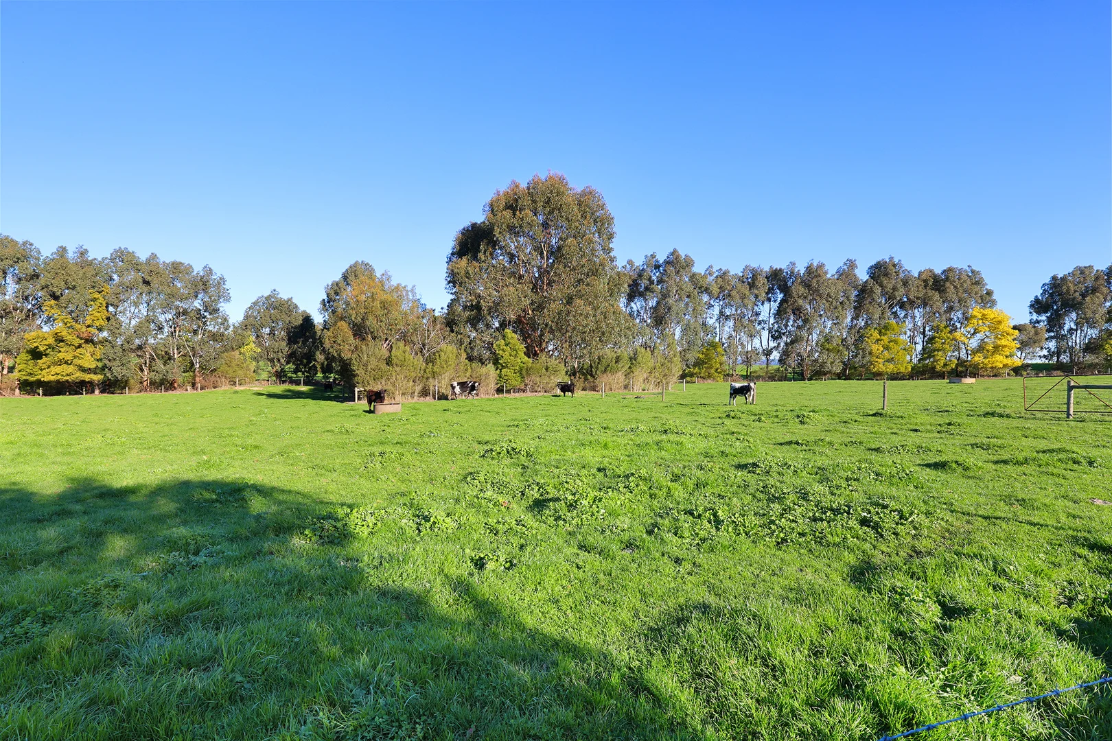 Additional image 20 of 70 Invermay Road, Ripplebrook VIC 3818