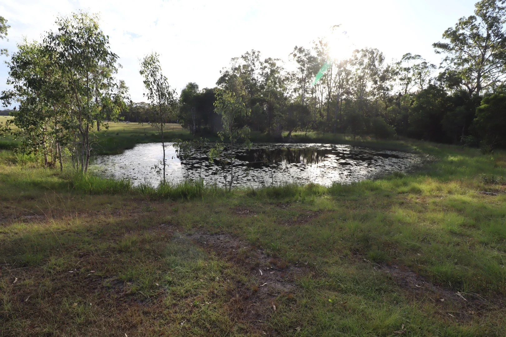 Additional image 12 of 2799 Rosedale Road, Yandaran QLD 4673