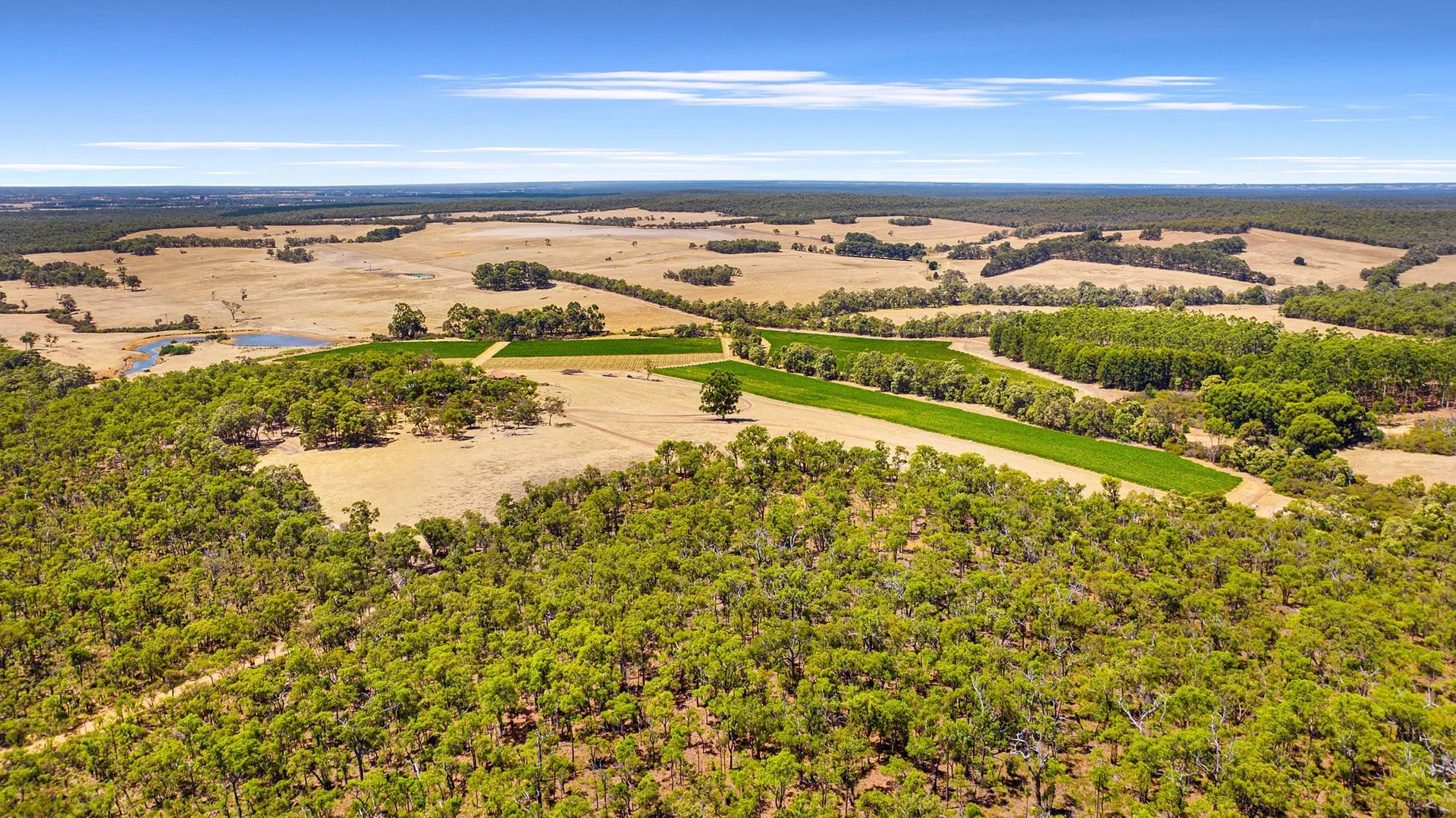 Additional image 28 of 113 Scott Road, Yoganup WA 6275