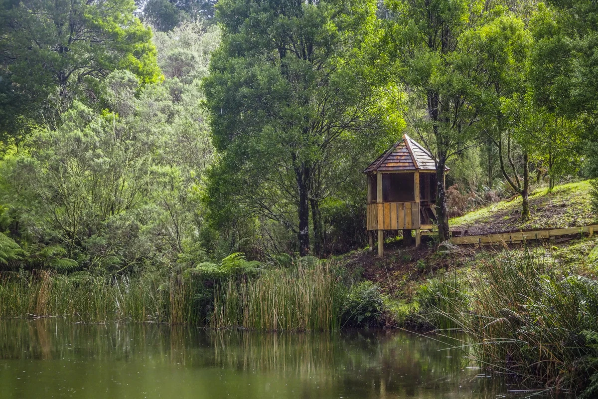 Additional image 19 of 5095 Great Ocean Road, Lavers Hill VIC 3238