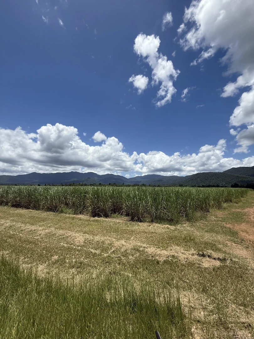 Additional image 8 of 53 Scougall Road, Jarra Creek QLD 4854