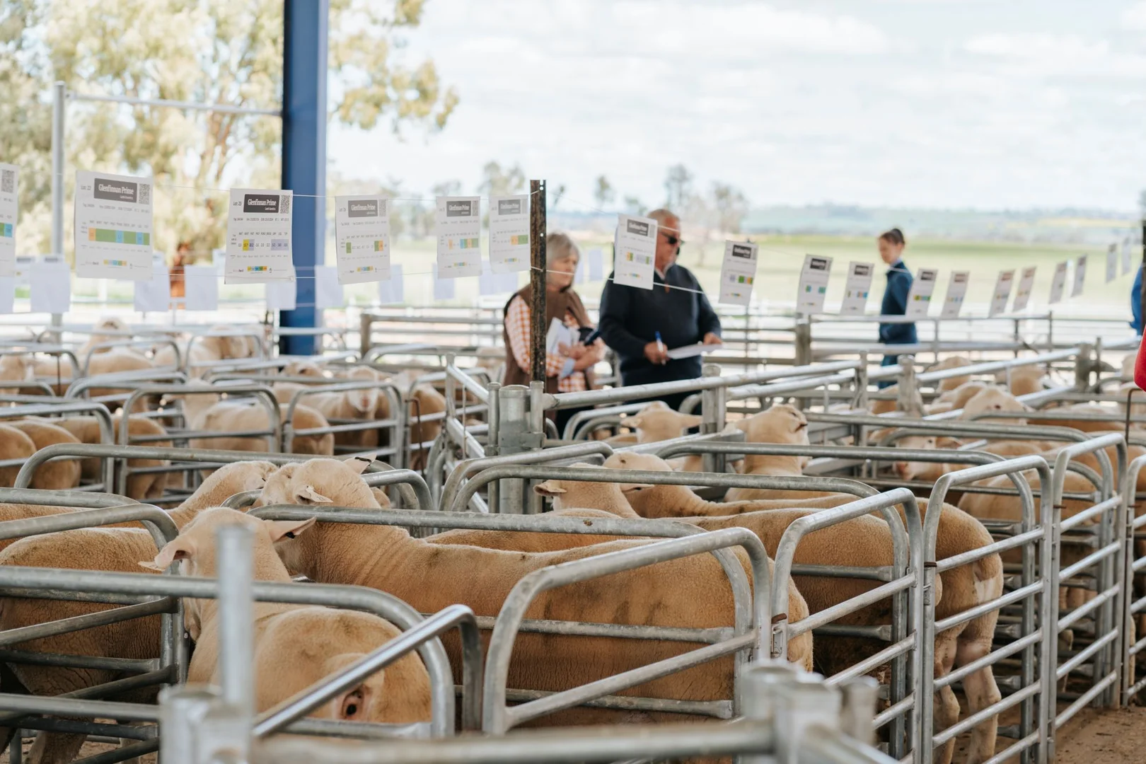 Additional image 21 of 1679 Stockinbingal Road, Cootamundra NSW 2590