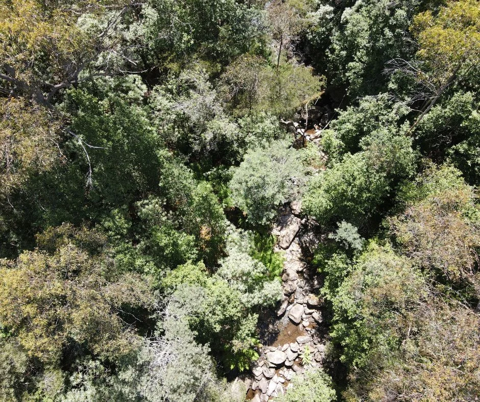 Additional image 7 of Lot 5 Liddells Road, Crabtree TAS 7109