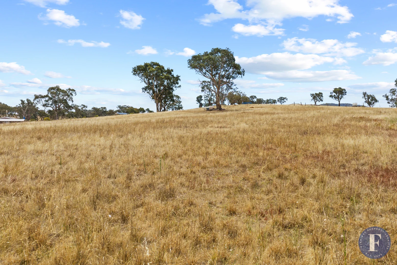 Additional image 4 of 77 Dowling Drive, Murringo NSW 2586