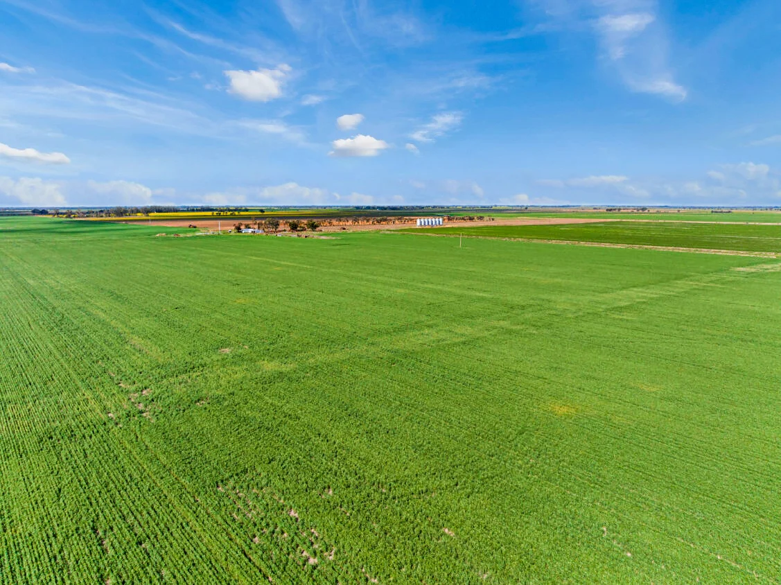 Additional image 9 of 165 Guilmartin Road, Capels Crossing VIC 3579