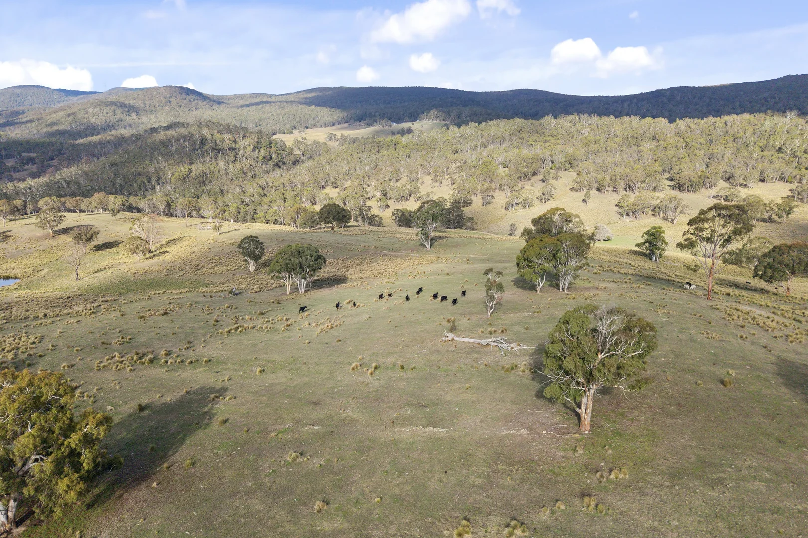 Additional image 30 of 507 Harolds Cross Road, Captains Flat NSW 2623