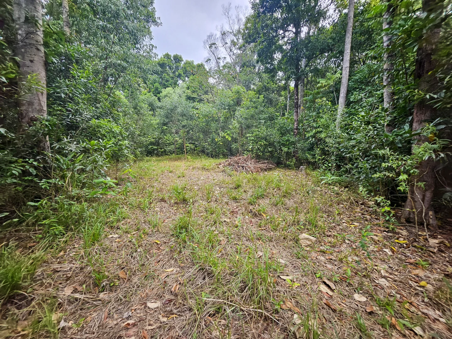 Additional image 12 of 2401 Rossville Bloomfield Road, Bloomfield QLD 4895