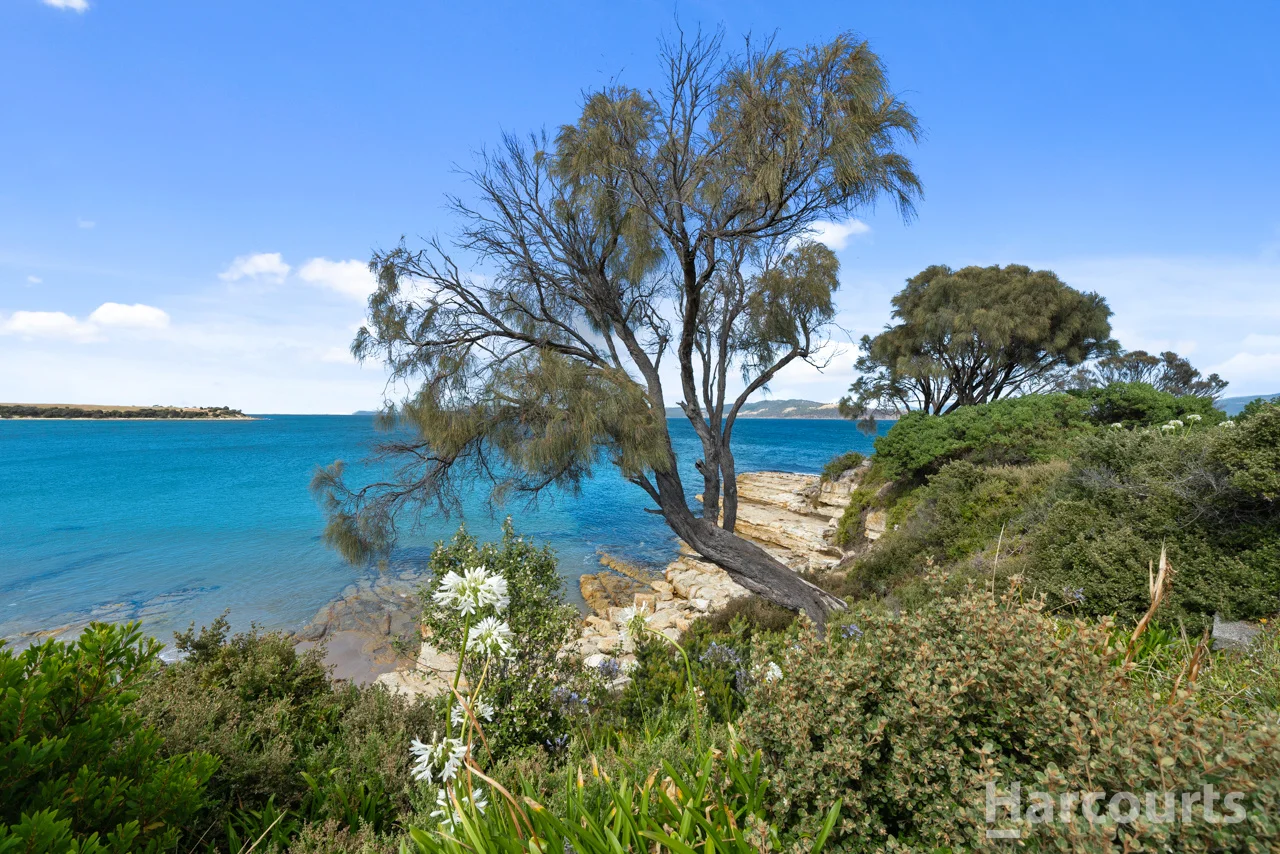 Additional image 8 of Lot 1/167 Blessington Street, South Arm TAS 7022