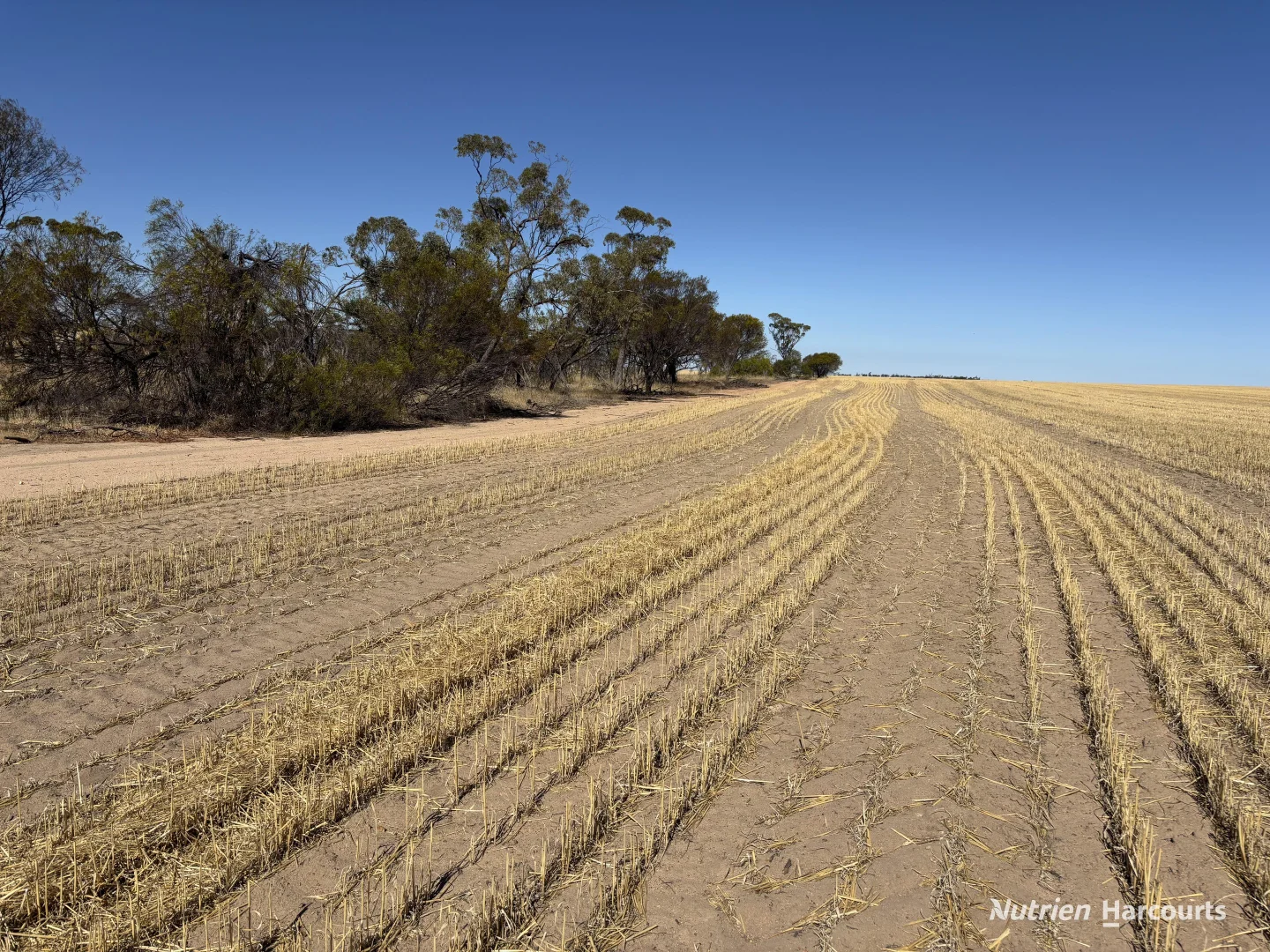 Additional image 17 of . 'Scotts', Yelbeni WA 6487