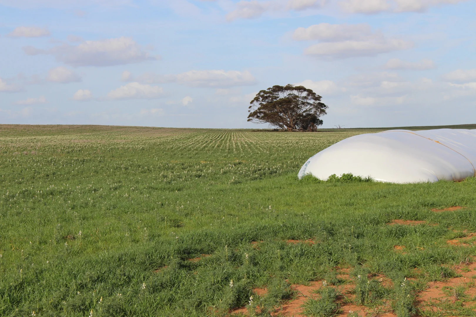 Additional image 9 of Allotment 92 Perponda Road, Karoonda SA 5307