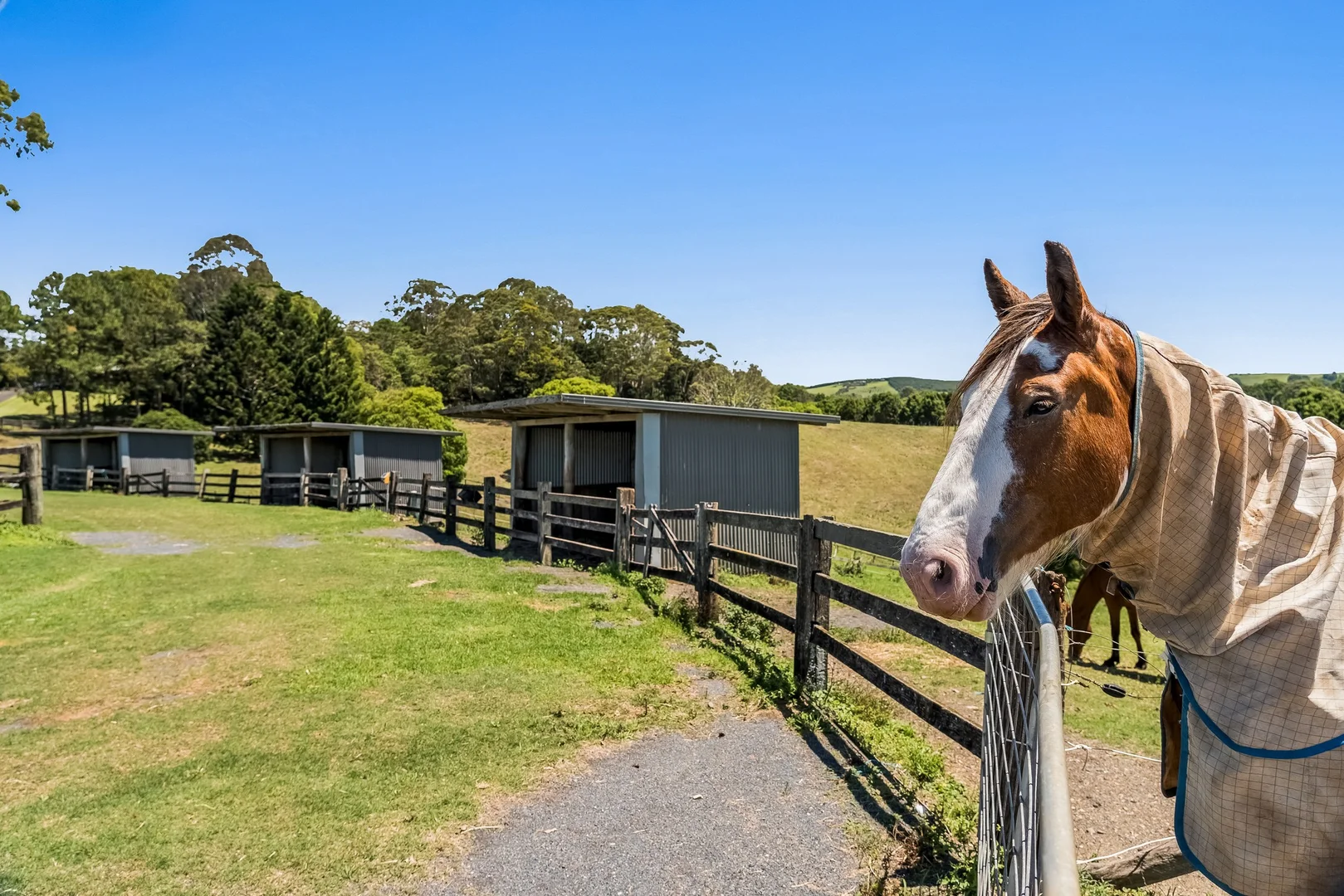 Additional image 41 of 426 Coopers Shoot Road, Coopers Shoot NSW 2479
