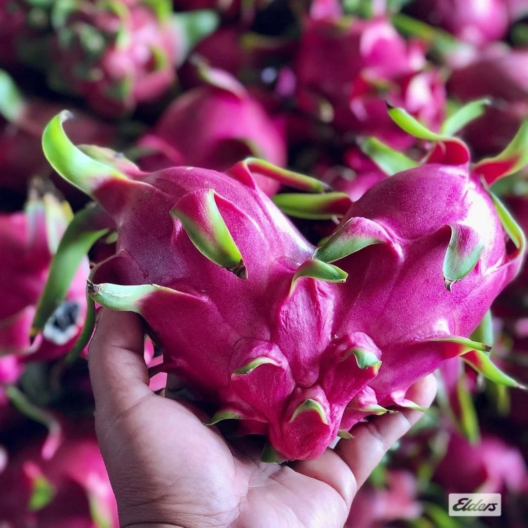 Additional image 33 of 125 Buckley Road, Lambells Lagoon NT 0822