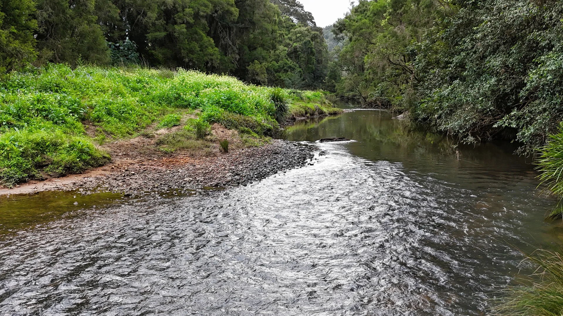 Additional image 2 of 12 Girraween Road, Rathdowney QLD 4287