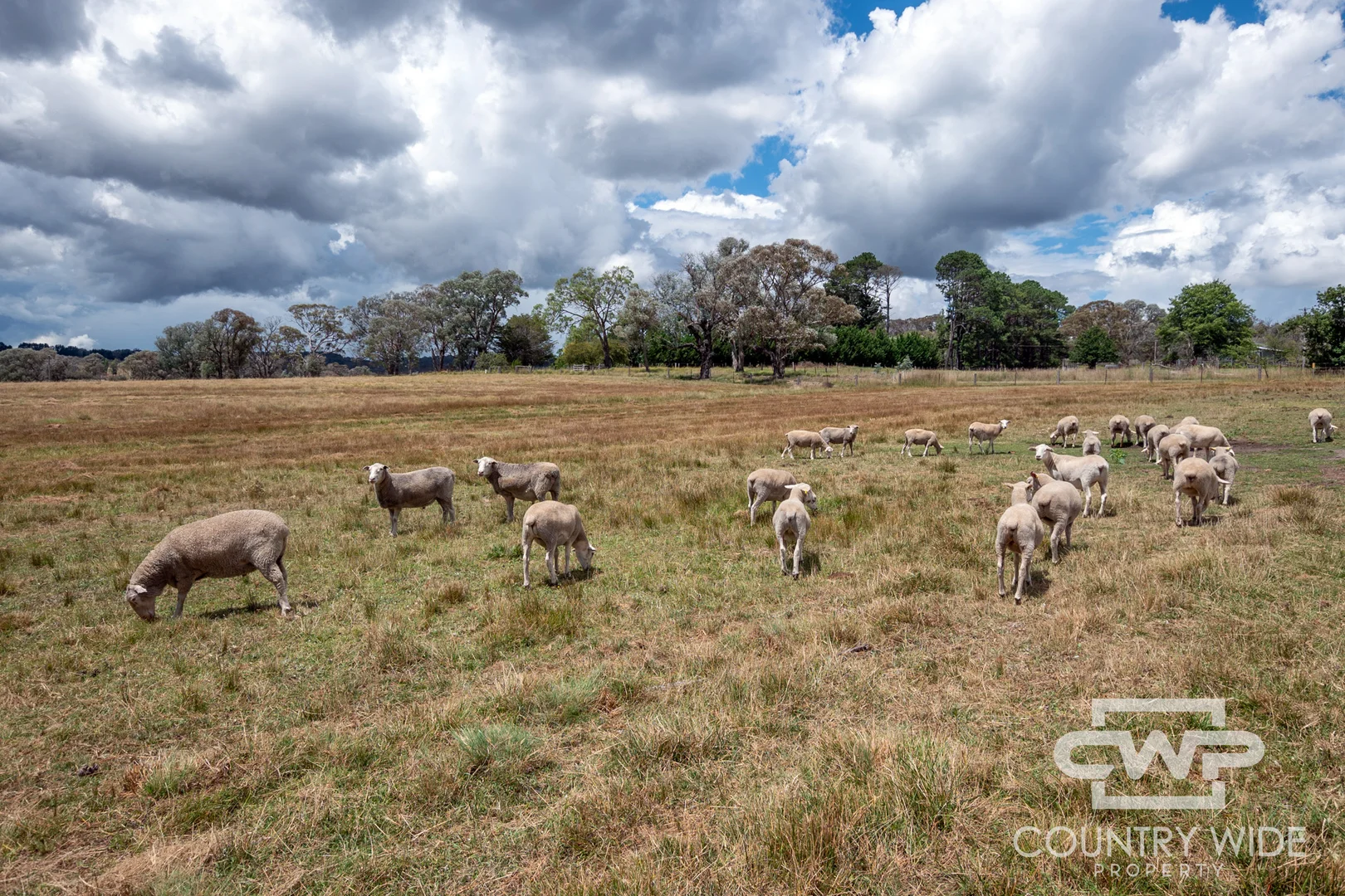 Additional image 7 of 1651 Shannon Vale Road, Shannon Vale NSW 2370