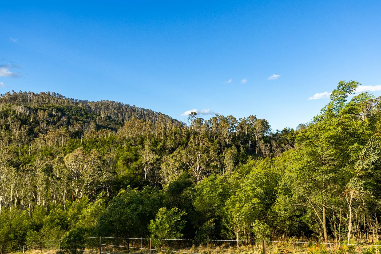 Additional image 14 of 1216 Upper Brogo Road, Brogo NSW 2550