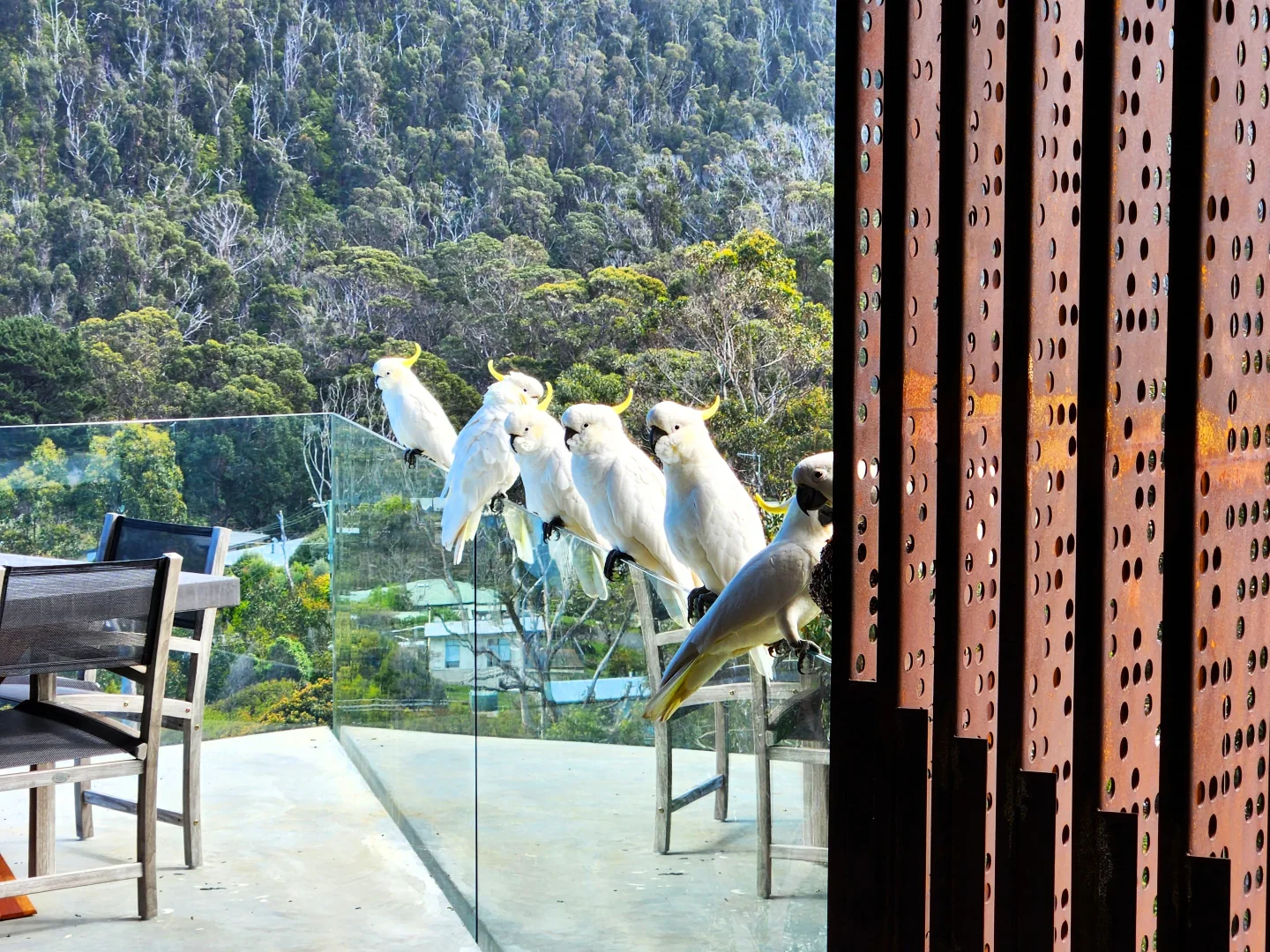 Additional image 25 of 14 Mitchell Grove, Separation Creek VIC 3234