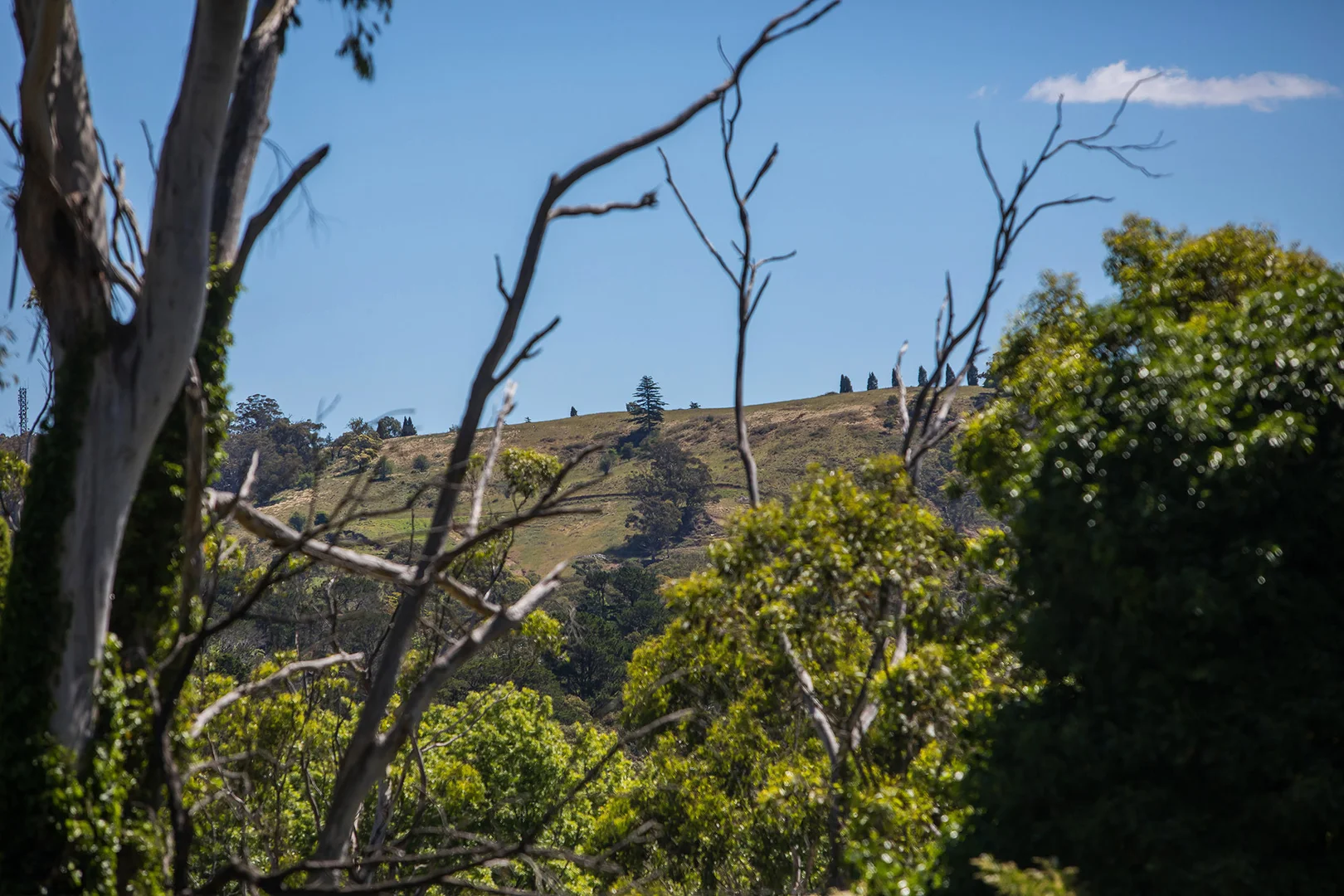 Additional image 15 of 84 Mittagong Road, Bowral NSW 2576