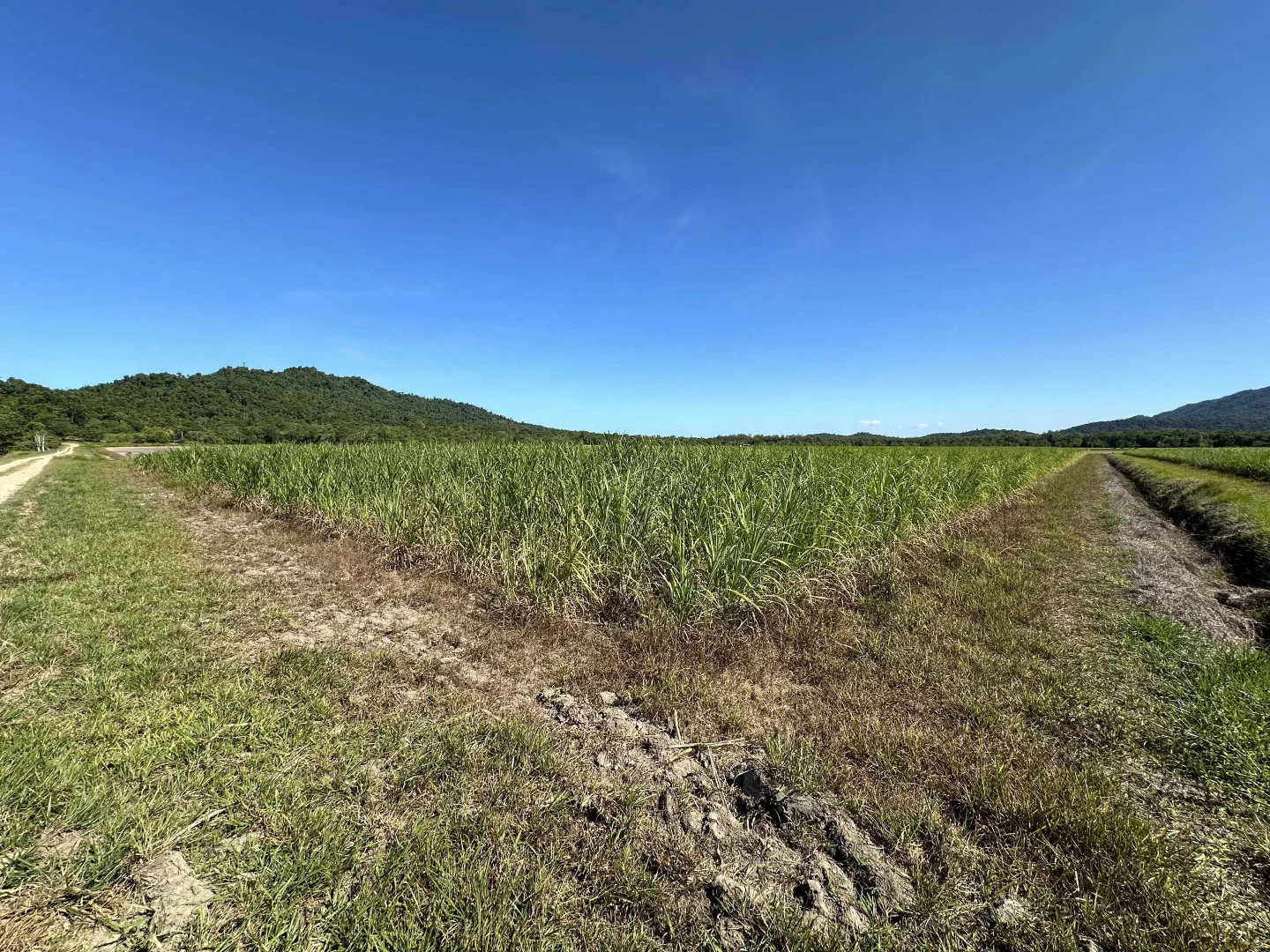 Additional image 15 of East Feluga QLD 4854