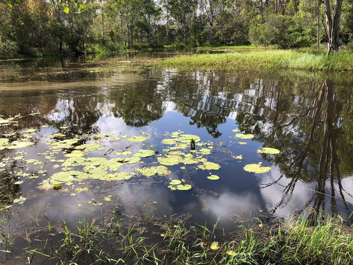 Additional image 6 of 847 Old Gympie Road, Paterson QLD 4570