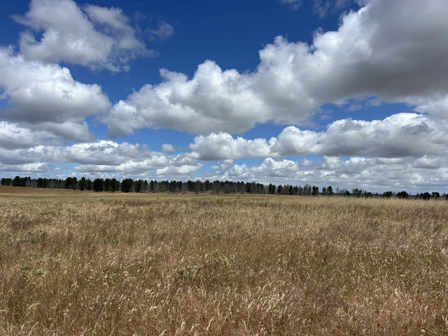 Additional image 25 of 905 Coomberdale Road West, Coomberdale WA 6512