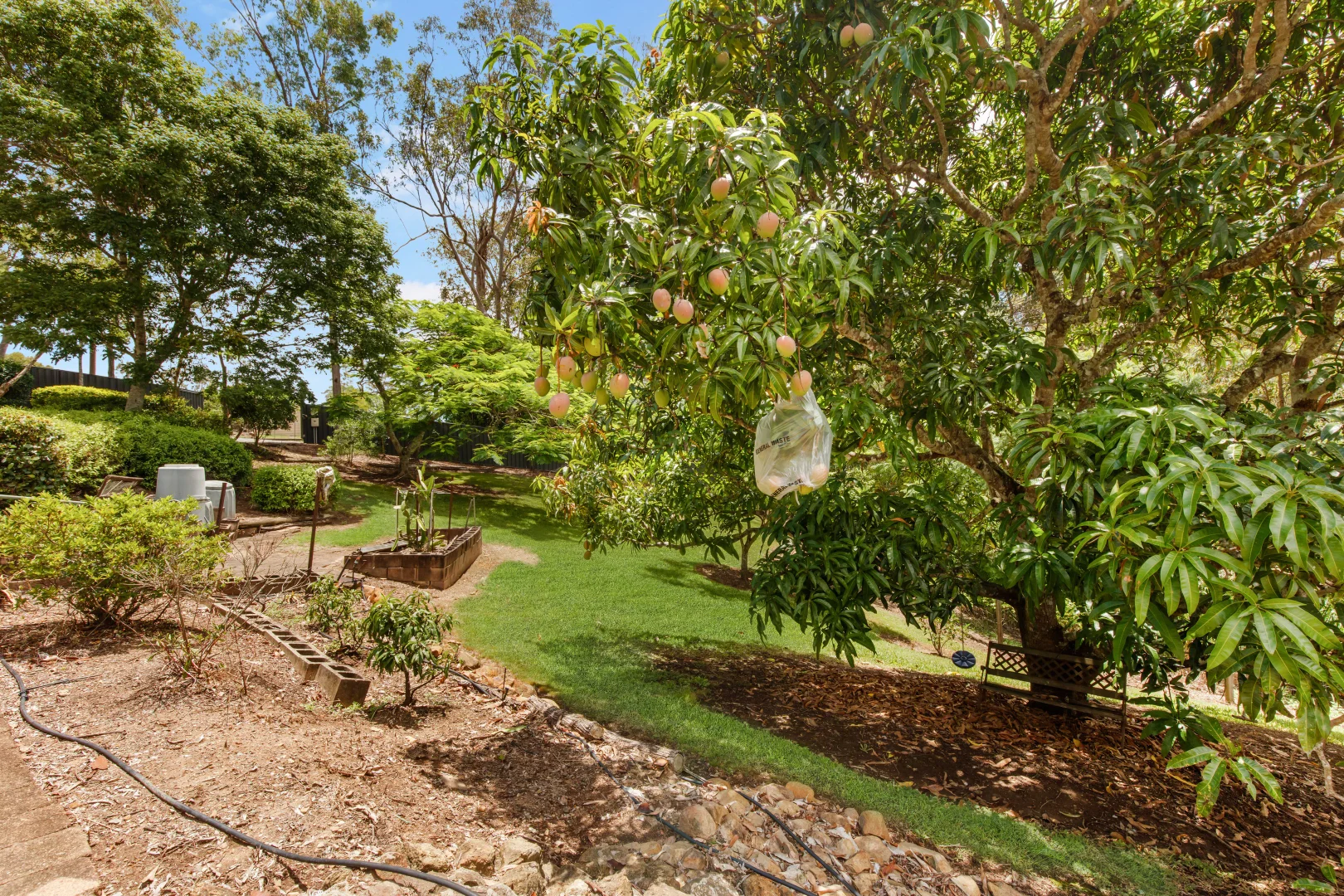 Additional image 14 of 4 Percival Road, Chatsworth QLD 4570