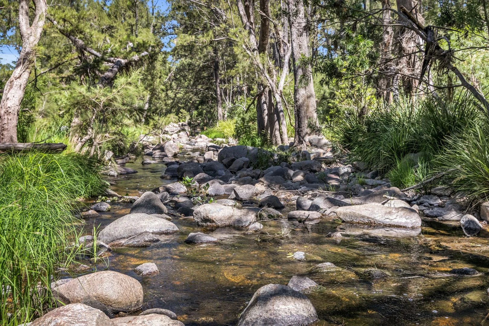 Additional image 11 of 154 Jersey Place, Cobargo NSW 2550