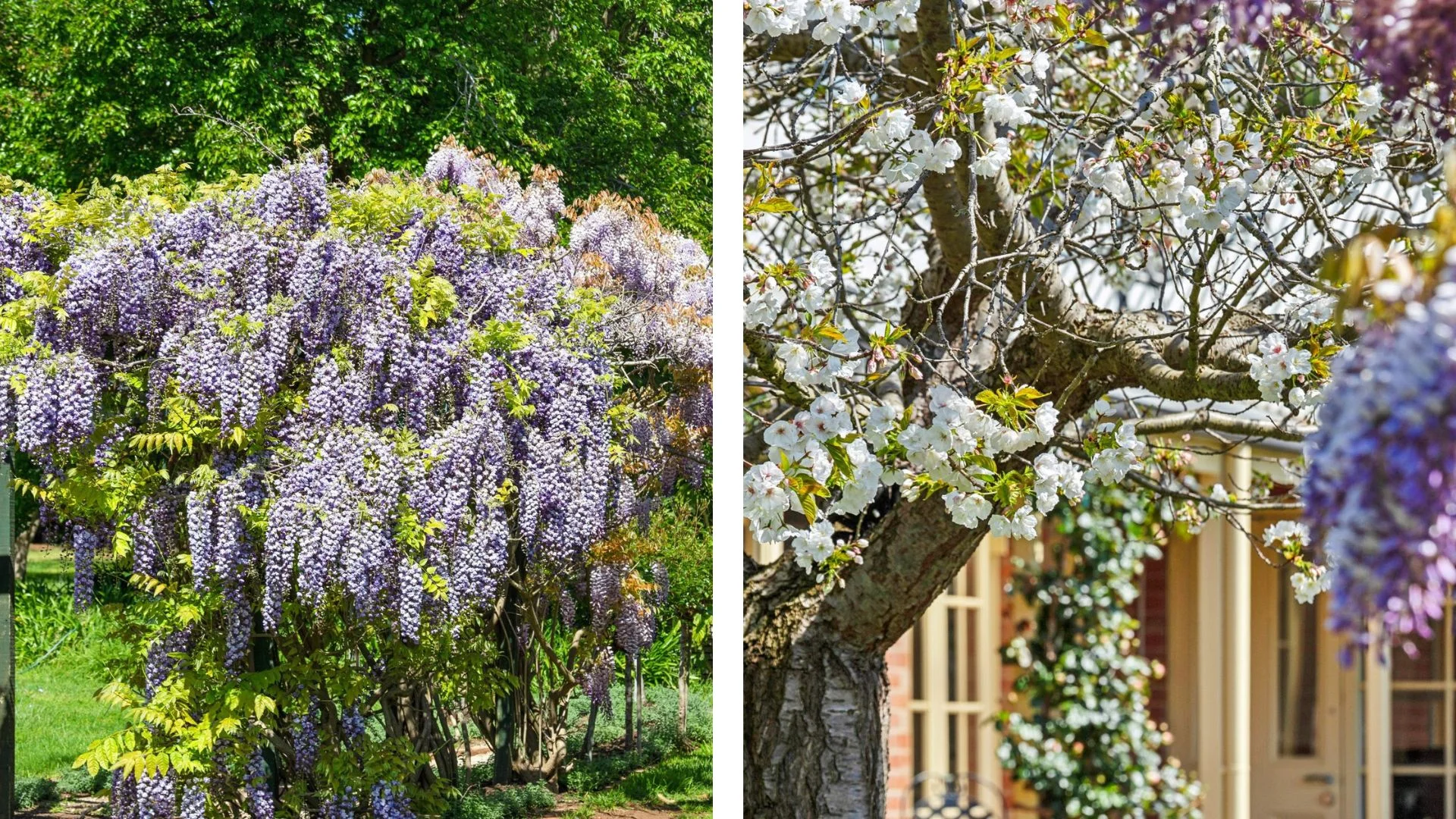 Additional image 32 of 50 Lemins Road, Waurn Ponds VIC 3216