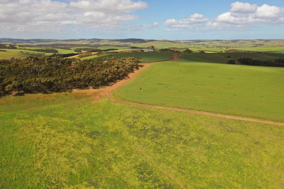 Additional image 26 of 251 Reservoir Drive, Whites Flat SA 5607