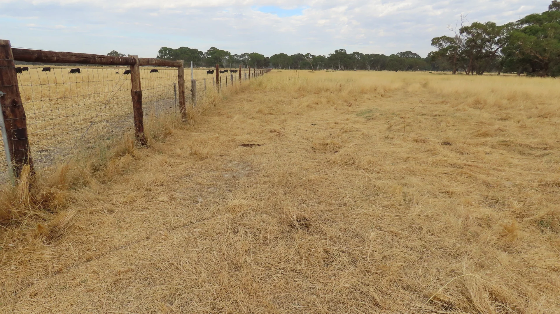 Additional image 21 of 110 Coote Rd, Moerlong SA 5278