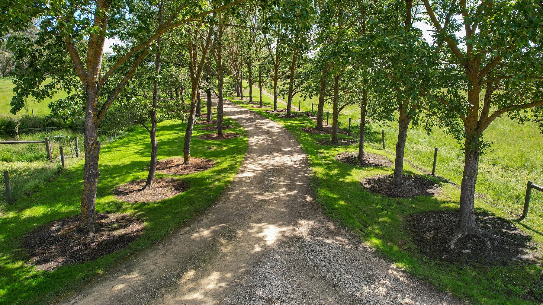 Additional image 7 of 335 Rollos Road, Panmure VIC 3265