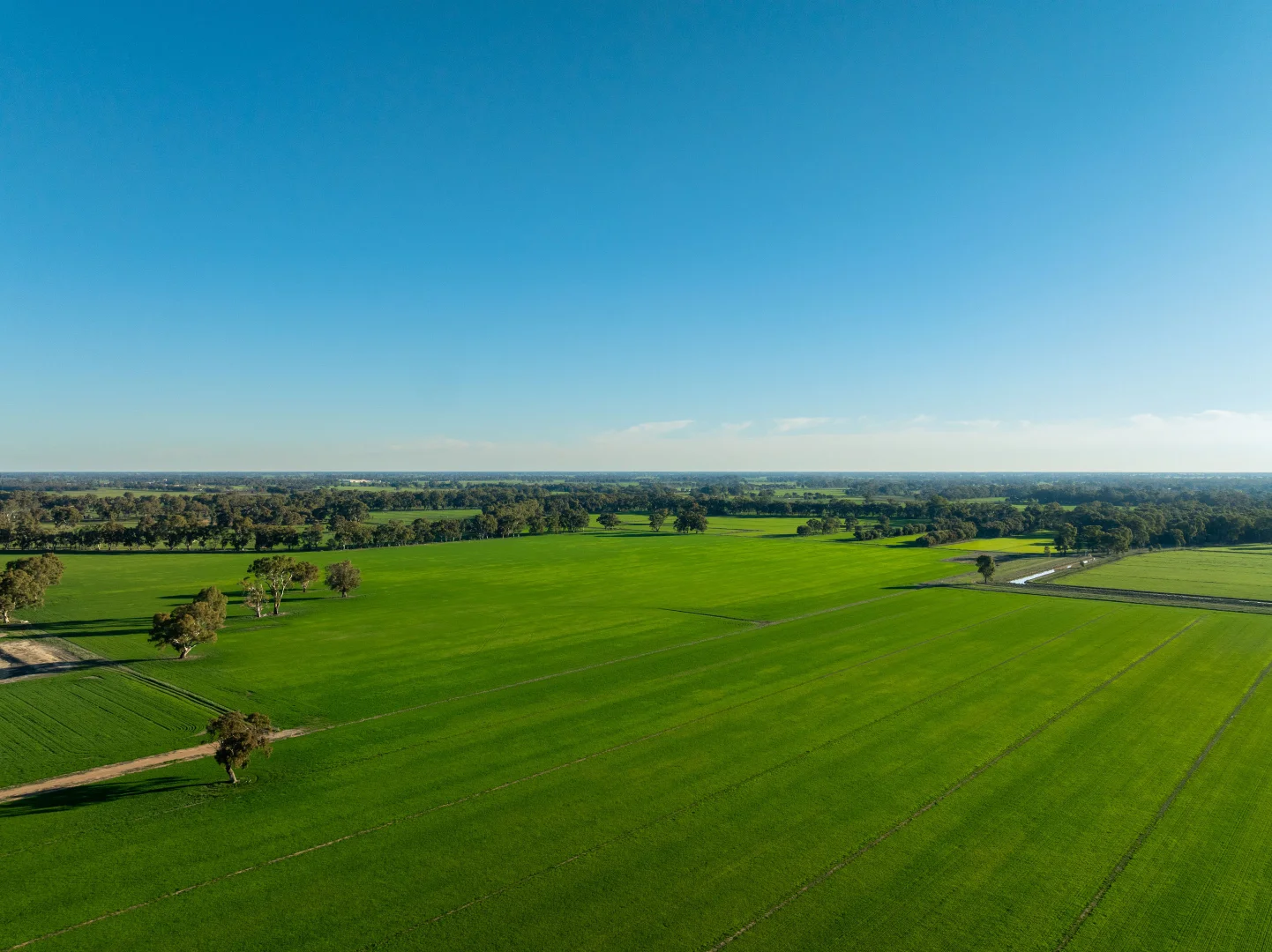 Additional image 15 of 479 Stokes Road, Strathmerton VIC 3641