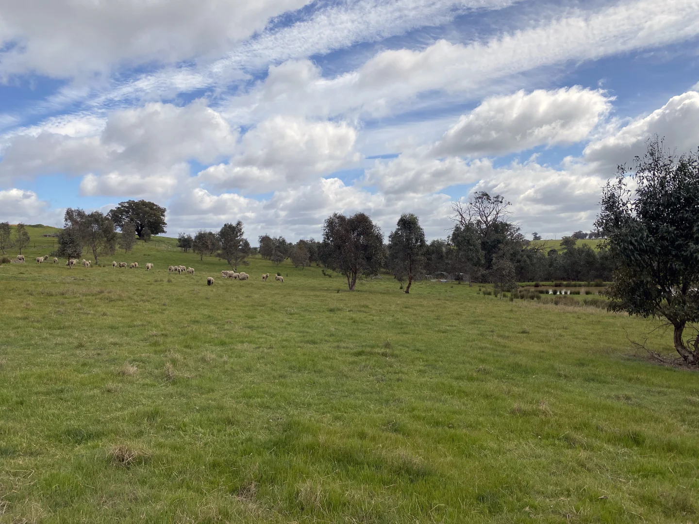 Additional image 21 of 574 Mia Mia Derrinal Road, Heathcote VIC 3523