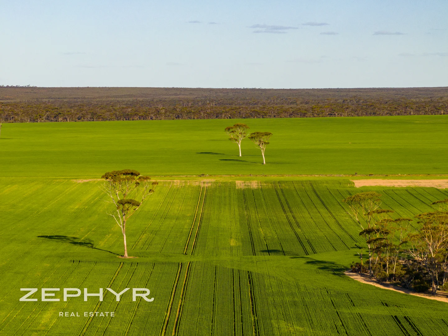 Additional image 44 of 6865 Emu Fence Road, Skeleton Rock WA 6426