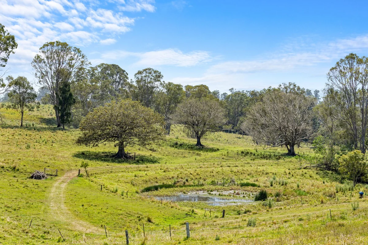 Additional image 23 of 383 Bice Road, Leycester NSW 2480