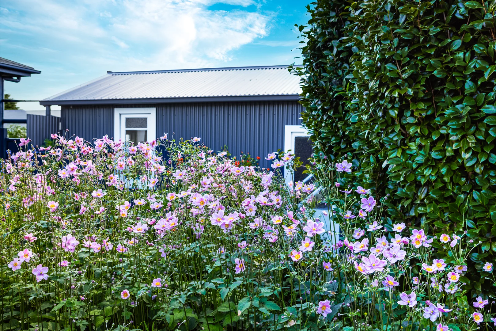 Additional image 18 of 70 Burrawang Street, Robertson NSW 2577