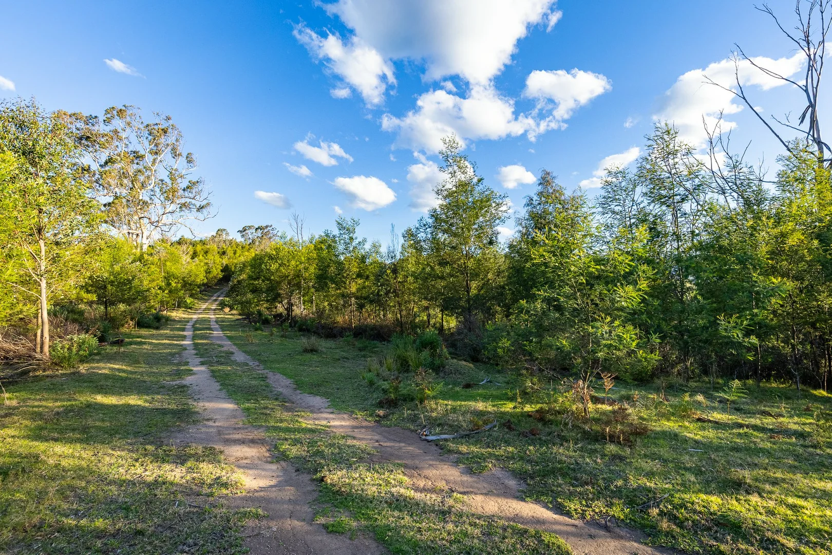Additional image 18 of 1216 Upper Brogo Road, Brogo NSW 2550