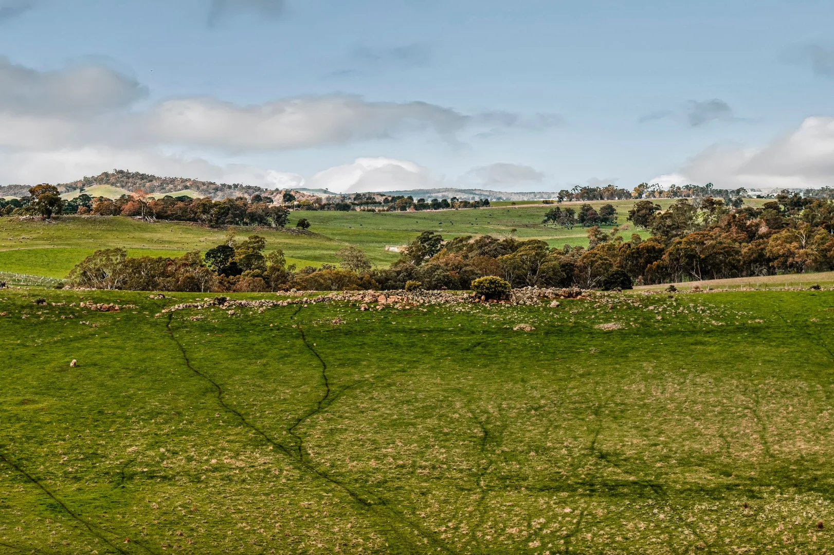 Additional image 16 of 870 Valley Road, Glenhope VIC 3444