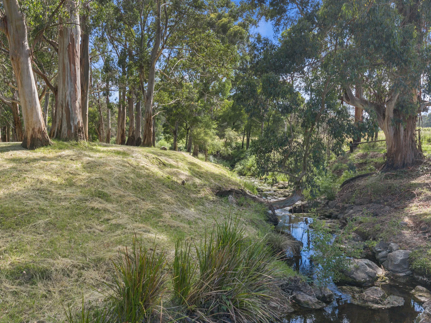 Additional image 24 of 8795 South Gippsland Highway, Korumburra VIC 3950